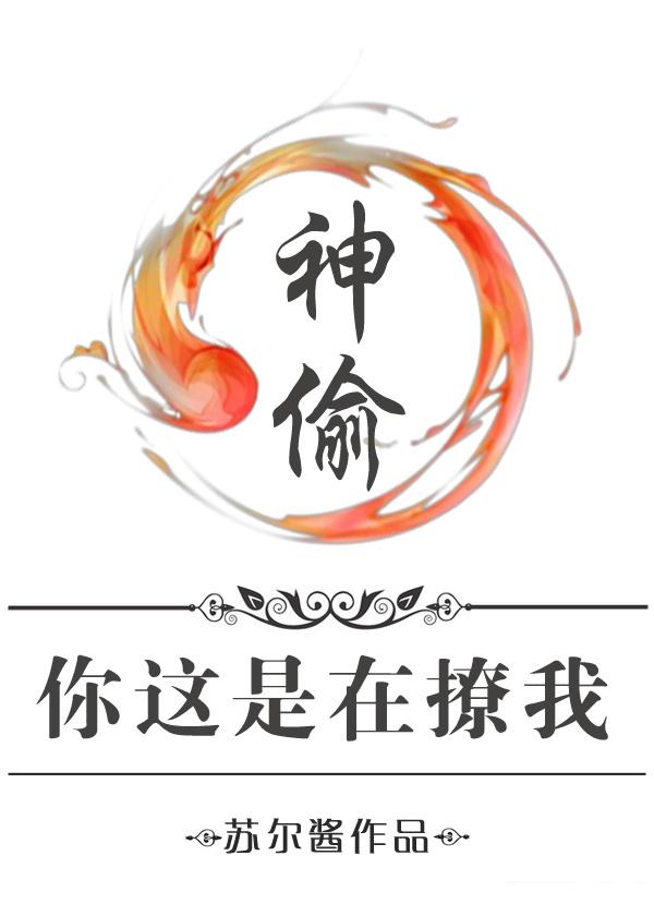 神偷是啥意思