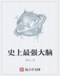 最强大脑历史最强选手