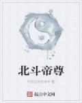 北斗帝尊几个老婆