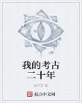 我的考古生涯主要讲什么