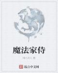 魔法世家简介