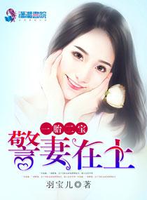 一胎两宝京少