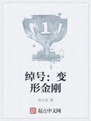 变形金刚里面名字