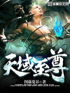 天域至尊冰雪版