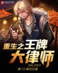 重生之王牌大导演