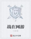 有盾战职业的网游