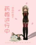药娘动画