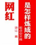 网红都是怎么成为网红的