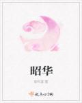 昭华未央全文免费阅读