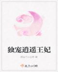 独宠宠妃