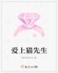 爱上猫咪女孩