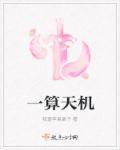 算命中天机是什么意思
