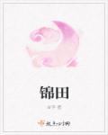锦界电厂