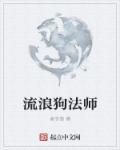 流浪法师别名