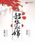 韶华似锦明亭远结局