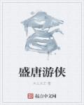 陕西盛唐游戏