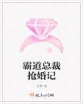 霸道总裁想抢我儿砸