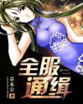 全网通缉犯