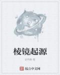 棱镜是什么样子的