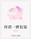 许君长安免费