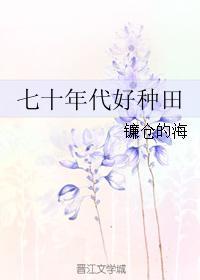 70年代种田