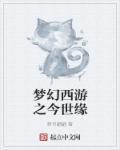 梦幻西游前世缘