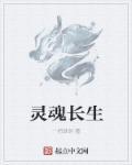 灵魂诞生