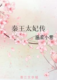 秦王太妃传的位分