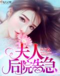 夫人报告夫人