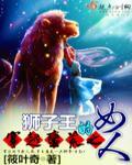 狮子王漂亮