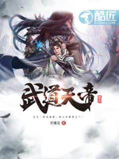 武道天帝小书