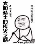太阳骑士 剧情