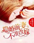 隐婚前妻疼你入骨免费阅读全文