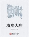 大唐攻略txt