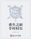 新手村村长txt