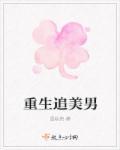 重生追美无删减
