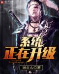 系统更新正在准备0%