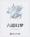 梦幻六道轮回技能