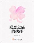 爱恋是由加斯帕·诺执导