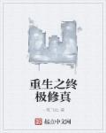 穿越终极之我是修