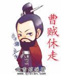 曹贼 什么意思