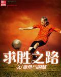 求胜意思