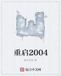 重启2004之飞驰人生苏锦念