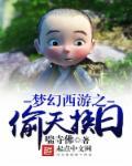 偷天魔盗团