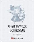 斗破苍穹源气大陆
