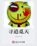 寻道戈兰天