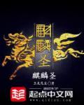 海贼王麒麟圣
