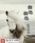 白马fof