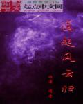 政道风云阅读