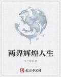 辉煌人生